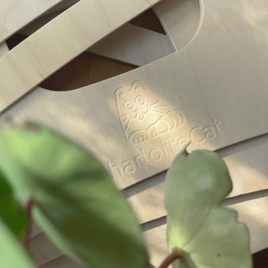 Natural birch plywood texture